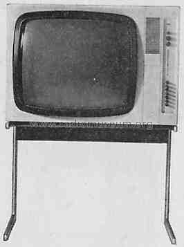 FS-1000; Braun; Frankfurt (ID = 330708) Television