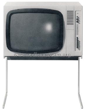 FS-1000; Braun; Frankfurt (ID = 820039) Television