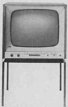 FS51; Braun; Frankfurt (ID = 330459) Television