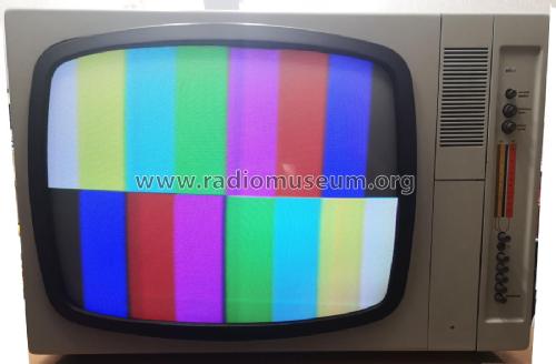 FS-1000; Braun; Frankfurt (ID = 2636160) Television
