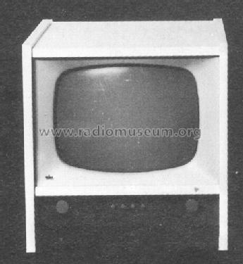 FS-G Ch= Telefunken FE11/43T; Braun; Frankfurt (ID = 58430) Television