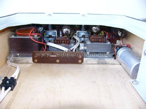PCV4; Braun; Frankfurt (ID = 1274993) Reg-Riprod