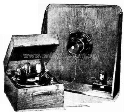 Ampligram AG1; BSR Brand, (ID = 3105227) Reg-Riprod