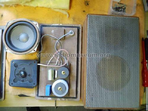 LE250; Canton; Weilrod (ID = 1661965) Speaker-P