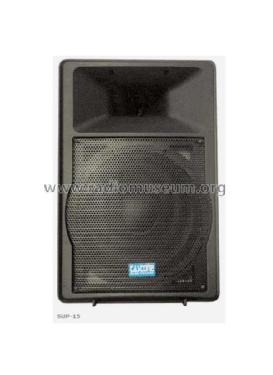 HiFi Speaker SUP15; Castone Electronic (ID = 1696197) Speaker-P