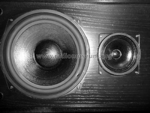 Mitteltonlautsprecher CMT 100/8; Cath Electronic GmbH (ID = 2336943) Speaker-P