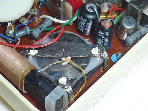 Champion 2 Transistor Deluxe NR-21; Unknown - CUSTOM (ID = 1438879) Radio