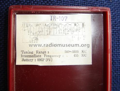 Classic 10 Transistor TR-107; Unknown - CUSTOM (ID = 1489945) Radio