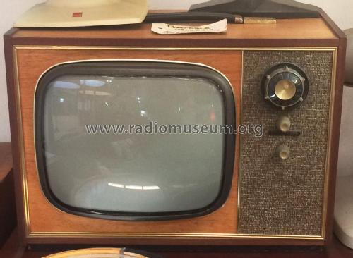 Portable Deluxe T110, Series 80.; Consol brand of, E.A (ID = 2326443) Television