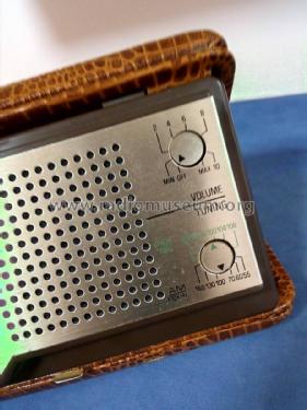 Coral FM-AM Radio Clock ; Unknown - CUSTOM (ID = 2428439) Radio