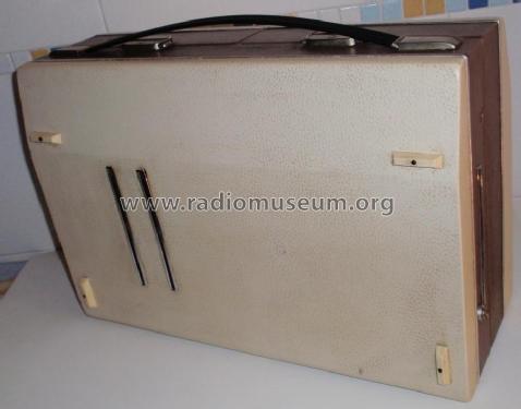 B-3810 ; Cosmo S.A., (ID = 1832038) Reg-Riprod