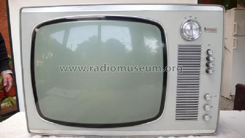 Crosley 5516; Unknown - CUSTOM (ID = 1626827) Television