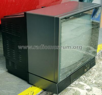 14 Inch Color TV DCS-1434VR; Daewoo Electronics (ID = 2648604) Televisore