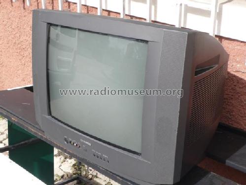 DTA-21Y1P; Daewoo Electronics (ID = 1618399) Television