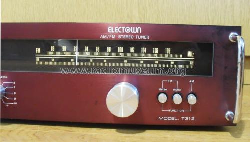 Electown AM/FM Stereo Tuner T-313; Daewoo Electronics (ID = 1315819) Radio