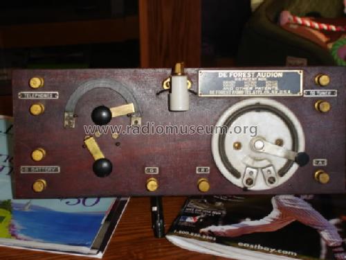 Detector Panel RJ9; DeForest Radio (ID = 861953) mod-pre26