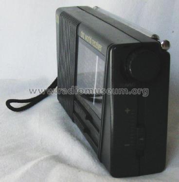 World Receiver ; DNT Drahtlose (ID = 2130014) Radio