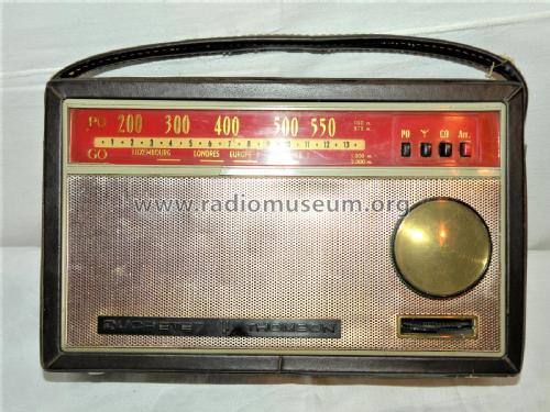 RZ163; Ducretet -Thomson; (ID = 2662968) Radio