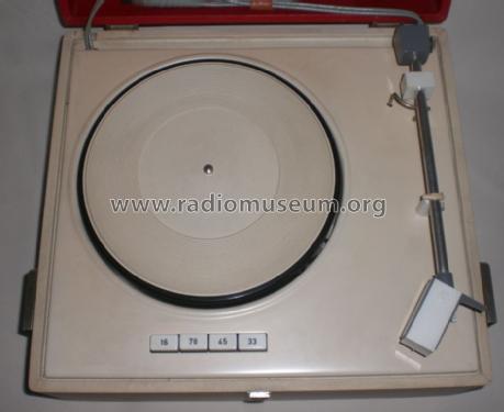 Starlet ; Ehrlich, Kurt; Pirna (ID = 1542297) Reg-Riprod