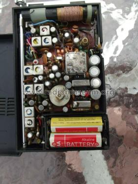 AM-FM 12 Transistor R-1400; Elgin Radio Division (ID = 2529863) Radio