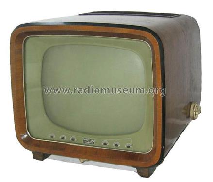 TV 310; Eumig, Elektrizitäts (ID = 265712) Television
