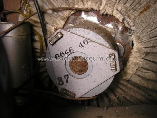 Sampo-V-39 S50A; Fenno, Helsinki - (ID = 1605662) Radio