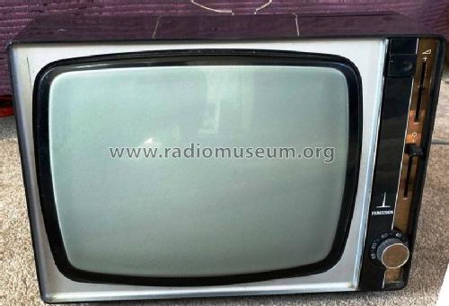 Mains/Battery Portable Television 3845; Ferguson Brand, (ID = 2694397) Television