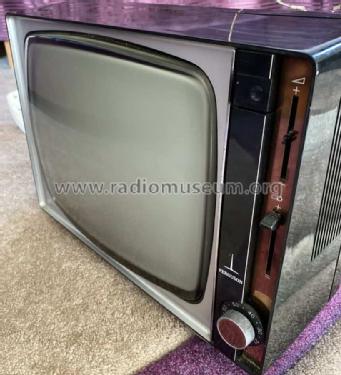 Mains/Battery Portable Television 3845; Ferguson Brand, (ID = 2694398) Television