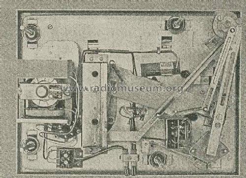Ziphona P13; Funkwerk Zittau, VEB (ID = 3058640) Reg-Riprod