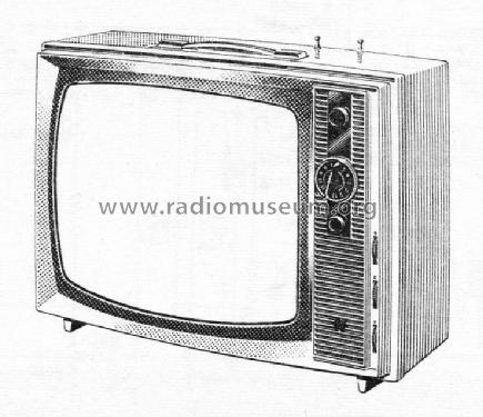 Escort T19P1 Ch= T11V1C; General Electric- (ID = 1457771) Television