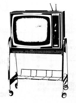 T19P3 Ch= T10V1C; General Electric- (ID = 1460247) Televisión