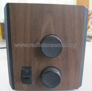 FM/AM Clock Radio 7-4501; General Electric Co. (ID = 1483585) Radio