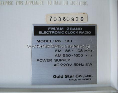 Electronic Clock Radio RK-313; Gold Star Co., Ltd., (ID = 819192) Radio