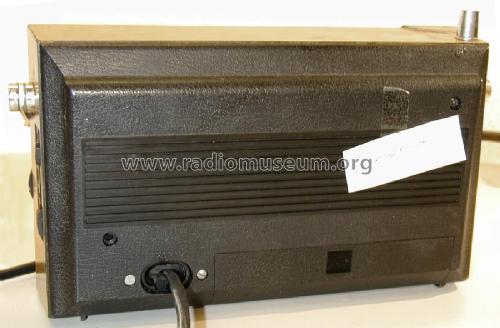 Pagino 300 netzautomatic 52130801; Graetz, Altena (ID = 2773360) Radio