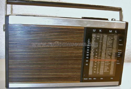 PAGINO netzautomatic 304; Graetz, Altena (ID = 2490030) Radio