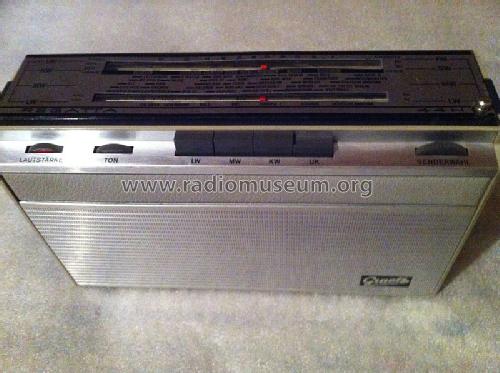 Regatta 44H; Graetz, Altena (ID = 1383026) Radio