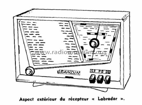Labrador ; Grandin, Cristal- (ID = 1456126) Radio