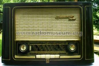 1040W; Grundig Radio- (ID = 19854) Radio
