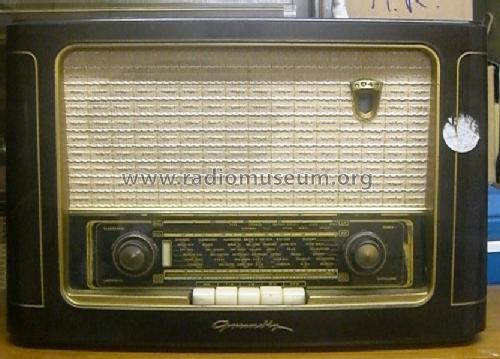 1041GW; Grundig Radio- (ID = 1663278) Radio