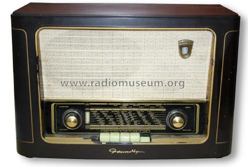 1041GW; Grundig Radio- (ID = 1803010) Radio