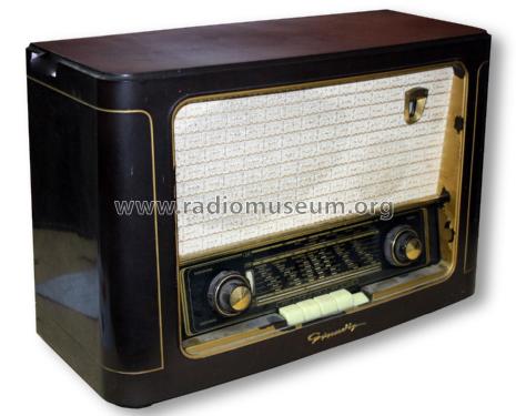 1041GW; Grundig Radio- (ID = 1803012) Radio