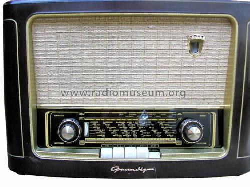 1041W; Grundig Radio- (ID = 670182) Radio