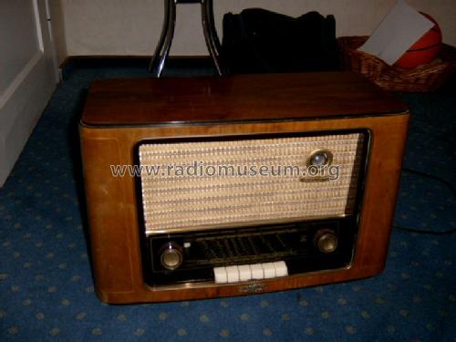 2006W; Grundig Radio- (ID = 29589) Radio