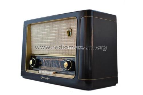 2041PW; Grundig Radio- (ID = 1580910) Radio