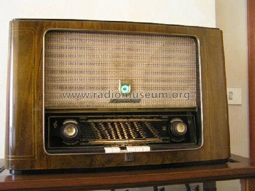 3012; Grundig Radio- (ID = 1261516) Radio