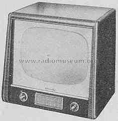 450; Grundig Radio- (ID = 313249) Television