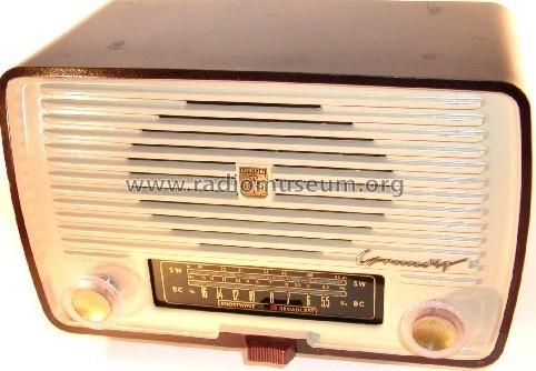 80-WE; Grundig Radio- (ID = 801148) Radio