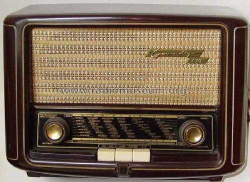 810 ; Grundig Radio- (ID = 1196379) Radio