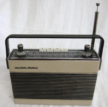Auto-Boy 204; Grundig Radio- (ID = 2631578) Radio