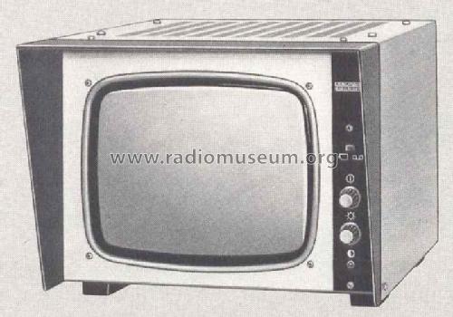 Bildwiedergabegerät BG250; Grundig Radio- (ID = 423141) Televisore